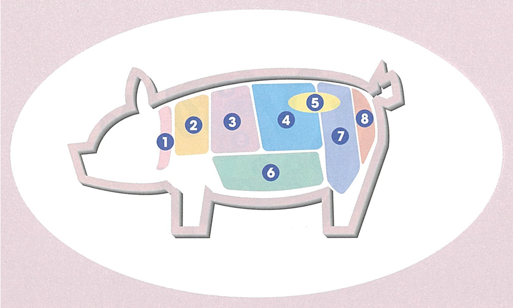 豚肉の部位